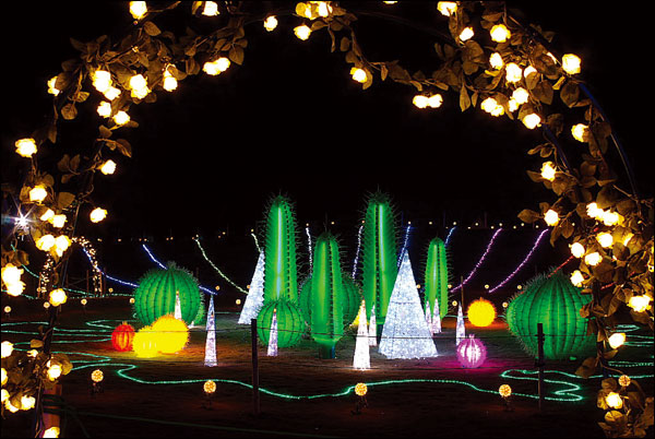 ドイツ村　イルミネーション