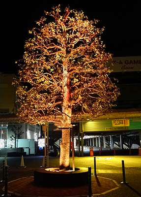 サンフラワー　瑞穂　イルミネーション